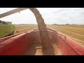 Hautnah bei der Ernte mit dem Claas Avero 240