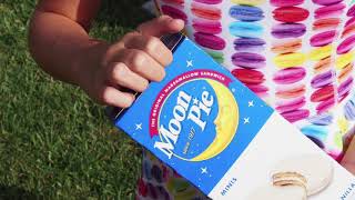 Toft 2017 Solar Eclipse Simulation