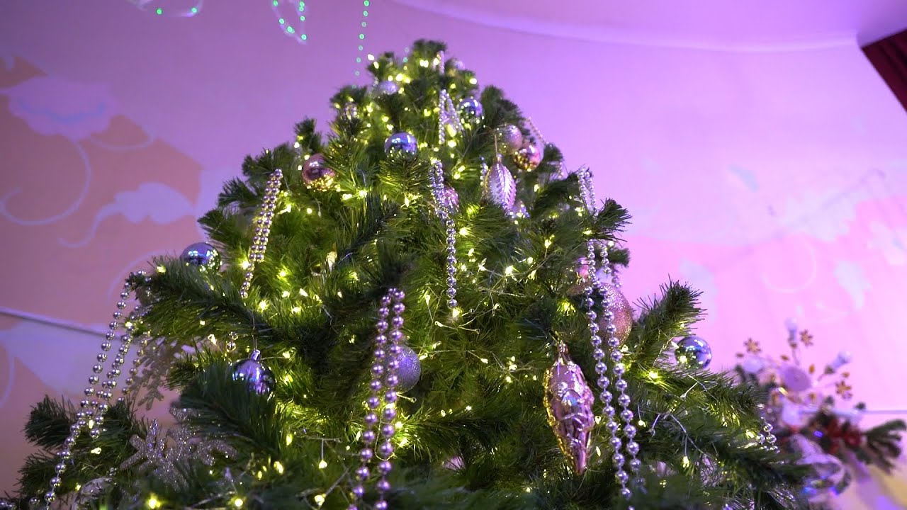 «ЗИМА – ВРЕМЯ ЧУДЕС» | Новости Камчатки | Масс Медиа