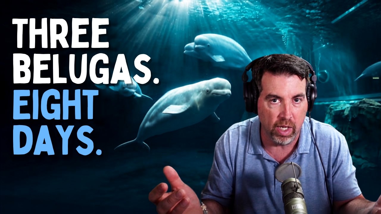 Shedd Aquarium Beluga Deaths: What We Know and What We Don't