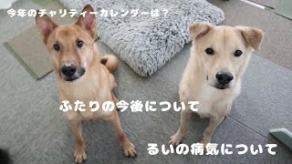 皆さまに大切なご報告です。