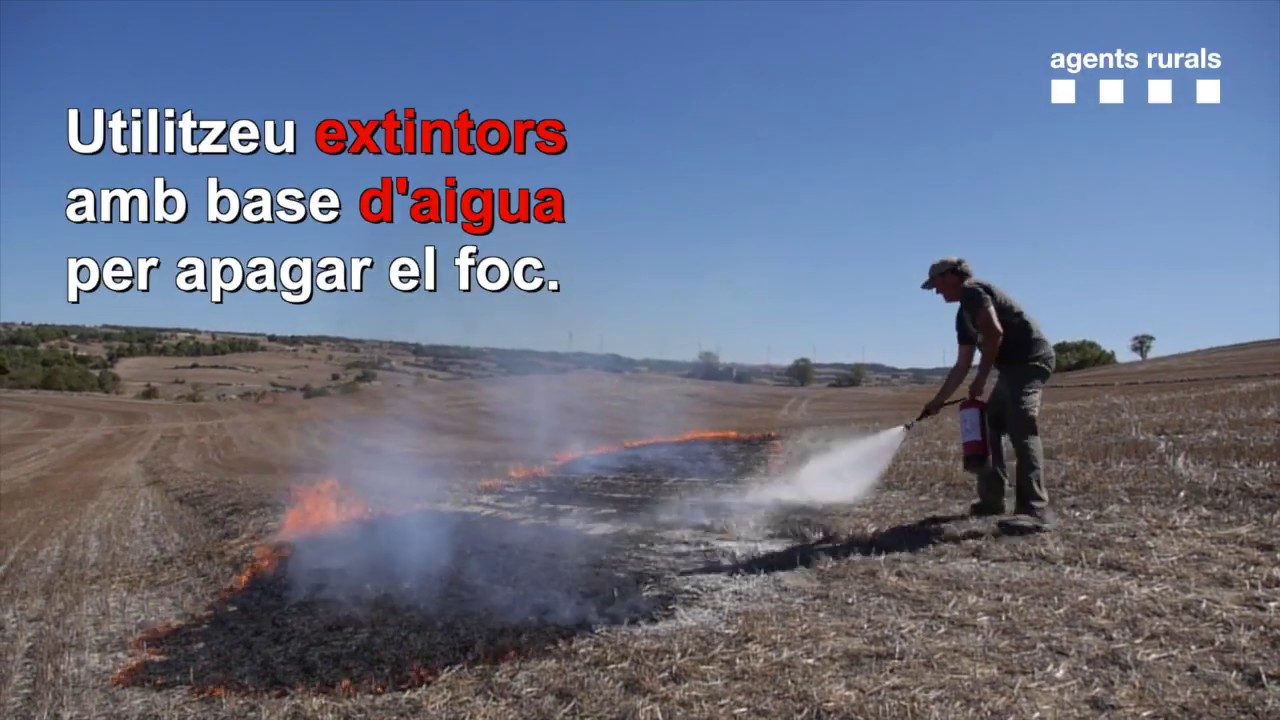 Conat d’incendi en un camp de cereals