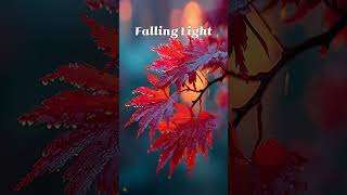 Falling Light - Sunset Piano &amp; Strings 🌇