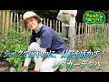 【BS11】黒谷友香、お庭つくります/第79回「日陰を活かす!憧れのシダガーデンへ」出演:黒谷友香、吉田祐治、堀田裕大、けいすけ、井上雅道(10月3日放送)