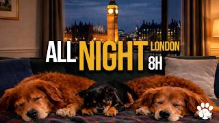 8 Hours Calming Music for Dogs 🐶 Sleep All Night • Separation Anxiety Relief • London Big Ben Night