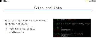 Python for Bits and Bytes