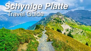 Schynige Platte - Heaven on earth above Interlaken! 🇨🇭 Travel Guide