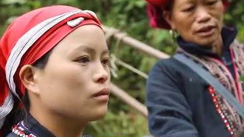 Xông - Tắm - Gội Lá thuốc của người Dao đỏ - LH : 0902.717.569