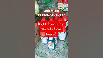 Vì sao Chúng ta cần phải diệt trừ mầm hạt của tất cả các loại cỏ. #thuocdietco #caosu
