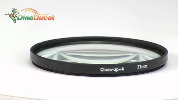 77mm Macro Close-Up +4 Lens Filter for Digital Camera  from Dinodirect.com