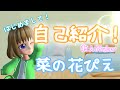 【新人Vtuber】初めまして!菜の花ぴえです!【自己紹介】