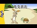 The Tortoise and the Hare (龟兔赛跑) | Folktales 1 | Chinese | By Little Fox