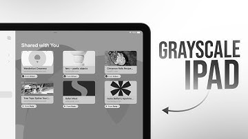 How to Put Your iPad in Grayscale (tutorial)