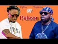 Dj Maphorisa Ft DJ Tira Palesa Unreleased Dj Maphorisa Ft DJ Tira Palesa Unreleased