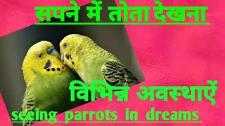 सपने  में  तोता देखना. (विभिन्न  अवस्थाऐं)seeing  parrots  in  dreams.