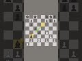 Chess Isn’t a Game… It’s Art 🎨♟