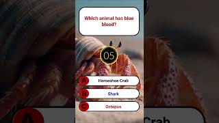 Which animal has blue blood | SmartGlobalGK | GK Quiz