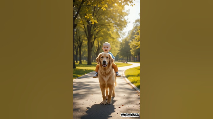 Heroic Golden Retriever Rescues Baby After Swing Accident! 🐶👶❤️