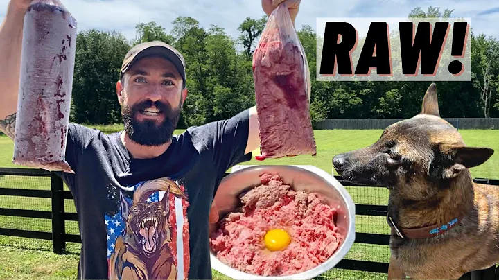 I Switched My Dog From KIBBLE TO RAW!! Here's How!