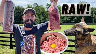 I Switched My Dog From KIBBLE TO RAW!! Here's How!