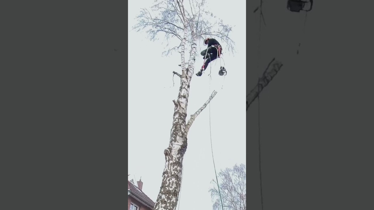 Janosch der alte Profi 🤘🏼 