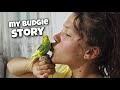 my budgie story | 2017 ~ 2020