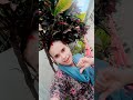 #bhojpuri #song #bhojpurisong #dance #https