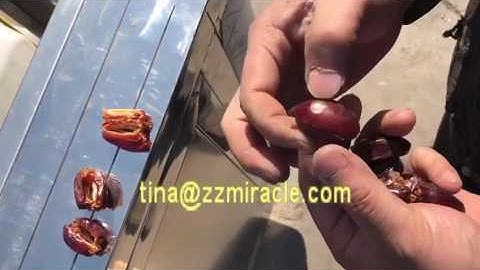 Palm dates pitting seeds removing machine