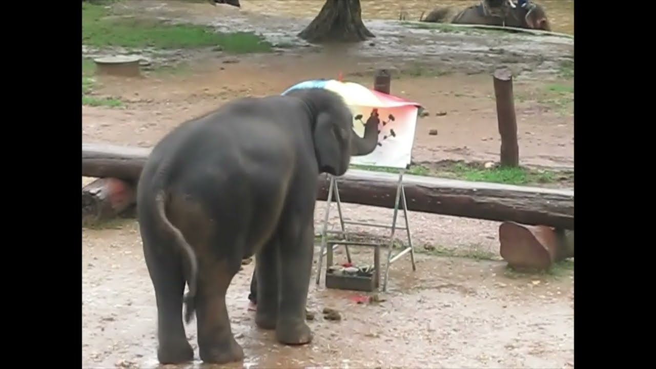 elephant painting flowers awesome elephants con voi biết vẽ YouTube