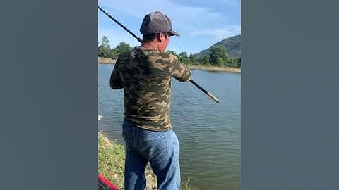 Hành trình chinh phục cá mè thiên nhiên tại hồ câu 3 xị châu pha bà rịa Vũng tàu