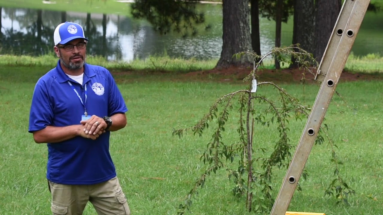 Introduction to Gutter Maintenance - A Cut Above Home Inspections, Knoxville, TN