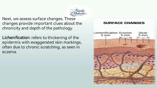 Approach to Dermatological Diagnosis. Part Part 2