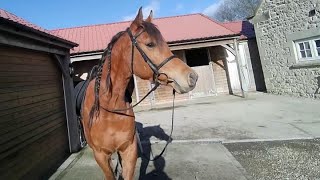 Farouk can&#39;t wait.  Lets ride, the sun is out and NO RAIN ☀️ 🥳