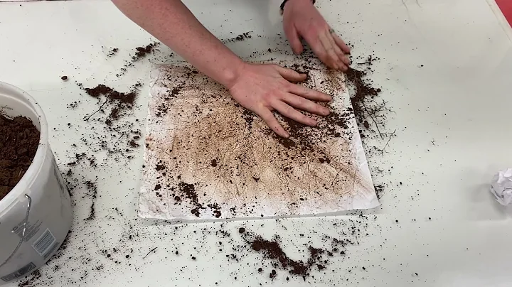 Elizabeth Burke's Process Videos: Step 2. Crushing...