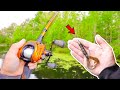 Catching GIANT Bass - IS IT A DOUBLE DIGIT?! (Spring Fishing)