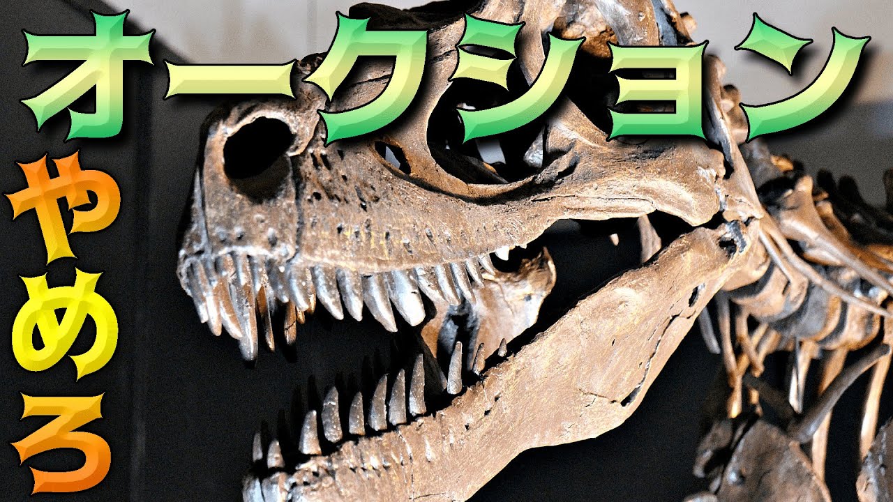 ティラノサウルスの化石がオークションに出品される件について - YouTube