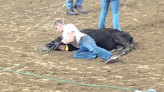 Houston Livestock Show & Rodeo Calf Scramble