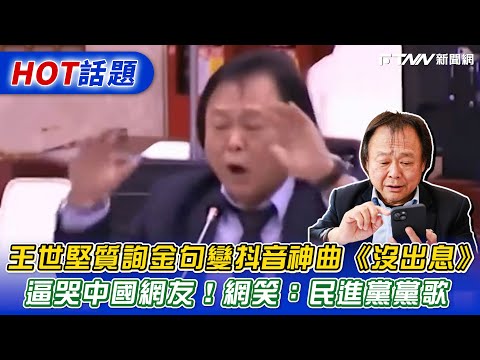 王世堅質詢金句變抖音神曲 沒出息 逼哭中國網友 網笑 民進黨黨歌