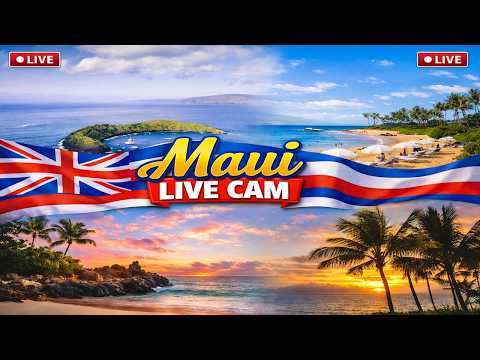 Maui Live Webcam Tour – Ka'anapali, Wailea, Haleakalā & Whale Watch — Maui, Hawaii live camera thumbnail