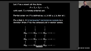 Michael Lesnick (5/3/21): l_p-Metrics on Multiparameter Persistence Modules