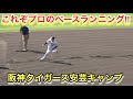 流石プロのベースランニング!阪神タイガース安芸秋季キャンプ