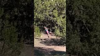 Boy rides zipline then crashes into tree branches at the end