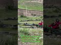 5 мая 2026 г.