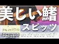 【ベースTab譜】美しい鰭／スピッツ【4弦】【劇場版『名探偵コナン 黒鉄の魚影』主題歌】【4strings】【Bass Cover】【ベースTab譜】【タブ譜】【Transcription】