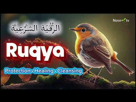 Protective Dua And Ruqyah Relief From Negativity And Anxiety Treatment Of All Diseases Rizq Money
