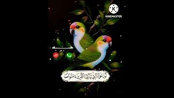 حالات واتس اب يوم الجمعه //ستوريات انستا يوم الجمعه//القارئ: أسلام صبحي //بدون حقوق