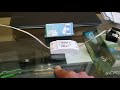 Sonoff wifi Smart switch basic integración 2-4
