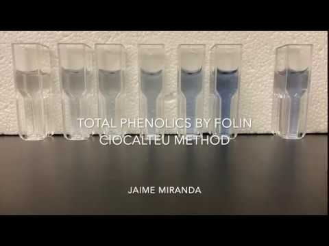 Total Phenolics by Folin Ciocalteu - Jaime Miranda