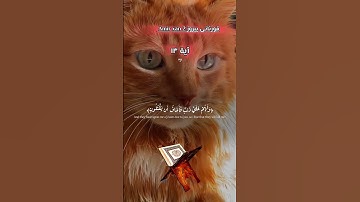 ولهم‌ علی زنب‌ فاخاف:قورئانی پیروز سورة الشعراء آیة14 #eslam #islam