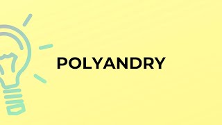 What is the meaning of the word POLYANDRY